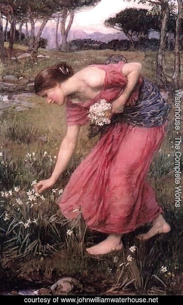 Narcissus  1912