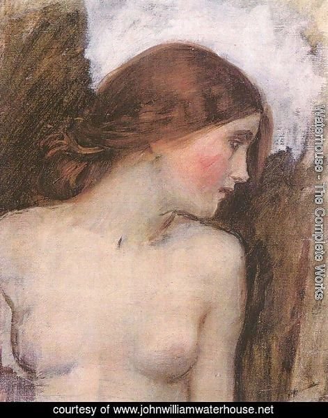 Study for the Head of Echo  1903