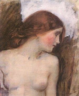 Waterhouse - Study for the Head of Echo  1903