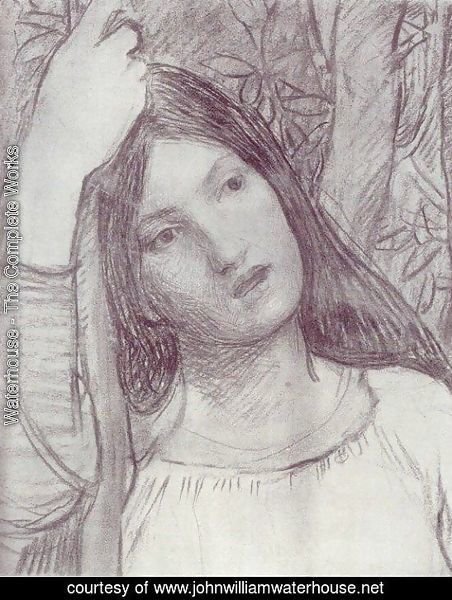 Study of a Girl  1908