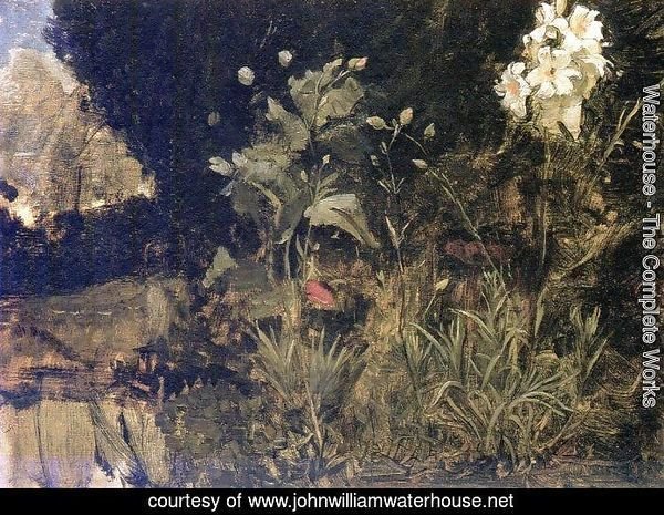 Study of Lilies, Poppies and Carnations  1916