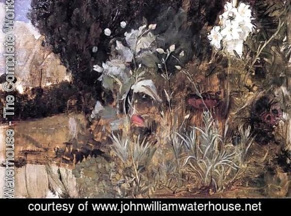 Waterhouse - Flower Sketch for 'The Enchanted Garden