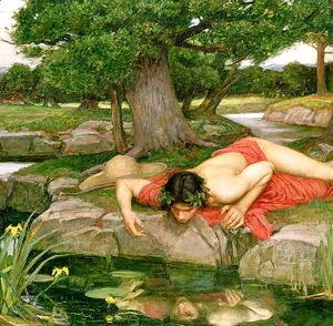 Waterhouse - Echo and Narcissus 1903 2